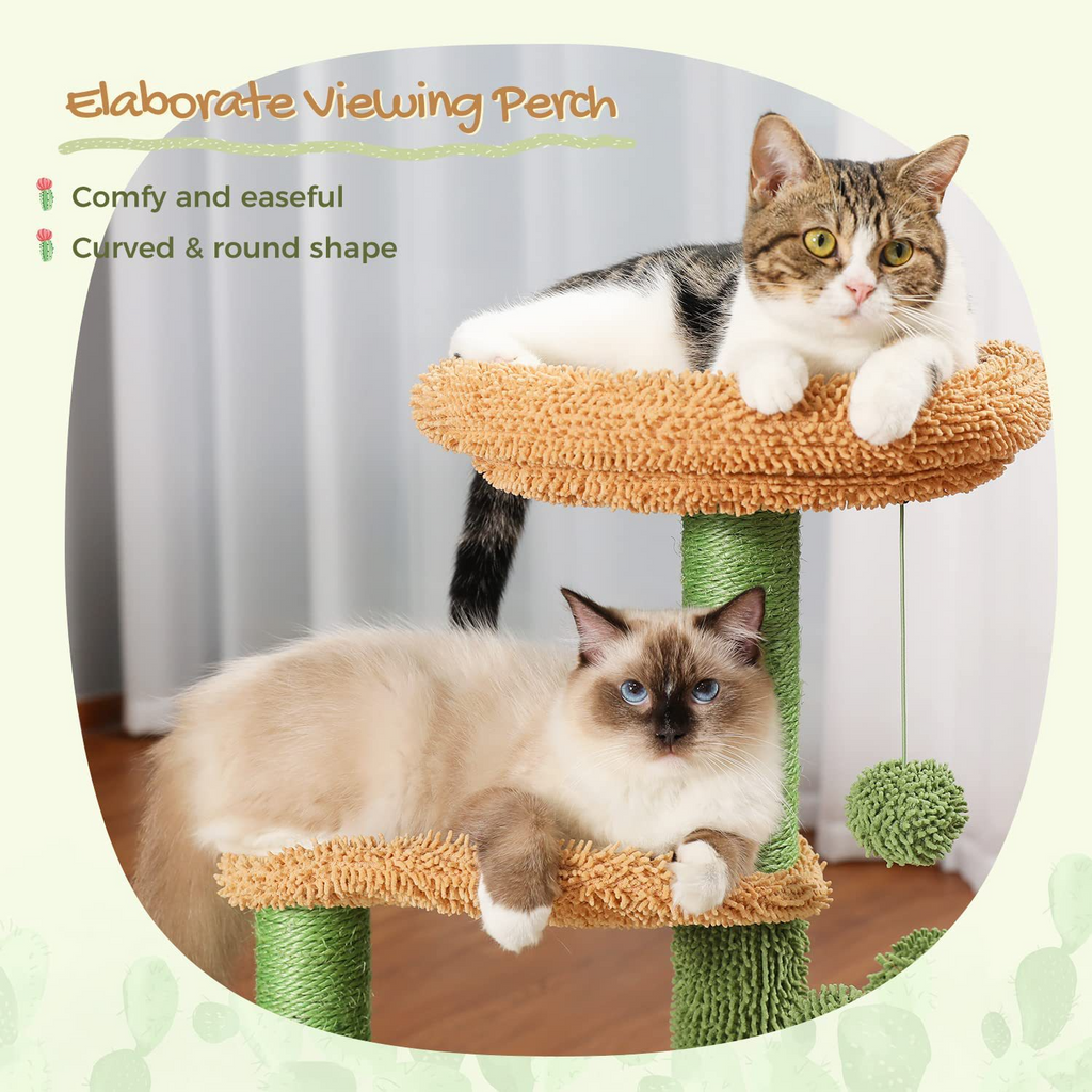 Alto — Árbol Rascador Cactus para Gatos