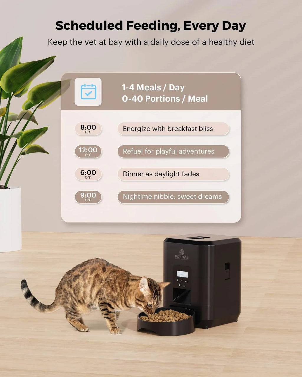Alimentador Automático Gatopia — versión Blanca disponible