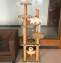 Terra — Árbol Rascador Grande para Gatos