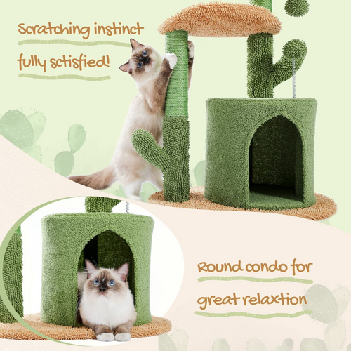 Alto — Árbol Rascador Cactus para Gatos