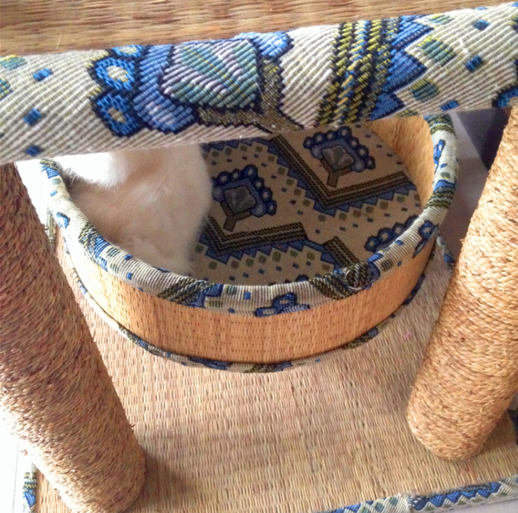 Terra — Árbol Rascador Grande para Gatos