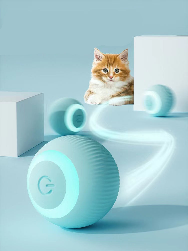 Bola Inteligente Gatopia — silenciosa para uso nocturno