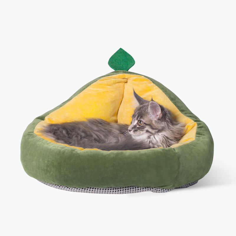 Nest — Cama Modular para Gatos