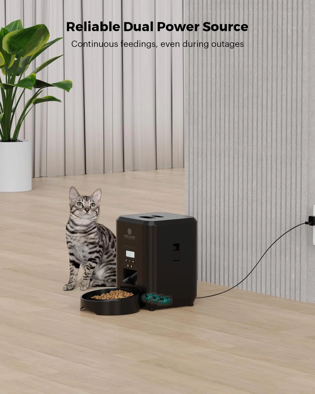 Alimentador Automático Gatopia — control WiFi desde móvil