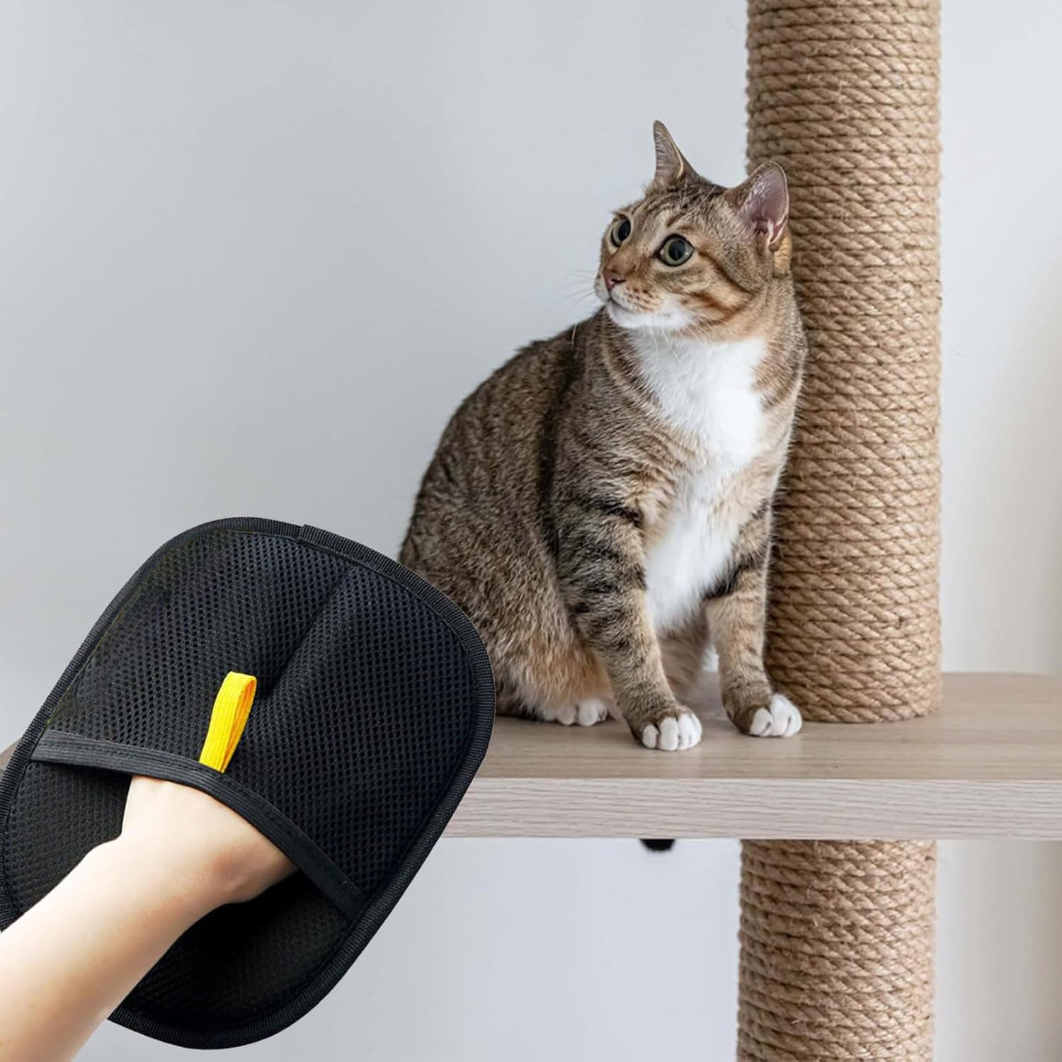 Mitt — Guante Quita Pelo para Gatos